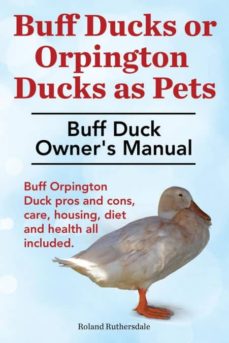 Buff ducks or buff orpington ducks as pets. buff duck owners manual. buff orpington duck pros and cons, care, housing, diet and health all included.