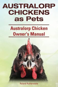 Australorp chickens as pets. australorp chicken owners manual.