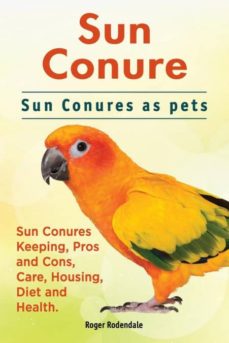 Sun conure. sun conures as pets. sun conures keeping, pros and cons, care, housing, diet and health.