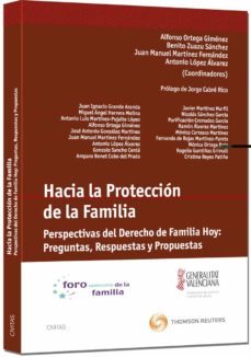 Hacia la proteccion de la familia perspectivas del derecho de hoy preguntas, respuestas y propuestas