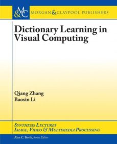 Dictionary learning in visual computing