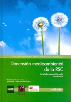 Dimension medioambiental de la rsc