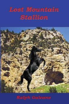 Lost mountain stallion