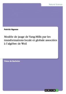 Modele de jauge de yangmills par les transformations locale et globale associees a lalgebre de weil