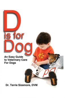 D is for dog