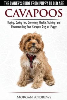 Cavapoos - the owners guide from puppy to old age - buying, caring for, grooming, health, training and understanding your cavapoo dog or puppy