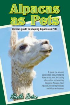 Alpacas as pets