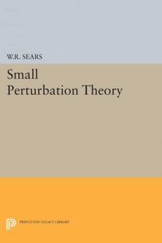 SMALL PERTURBATION THEORY